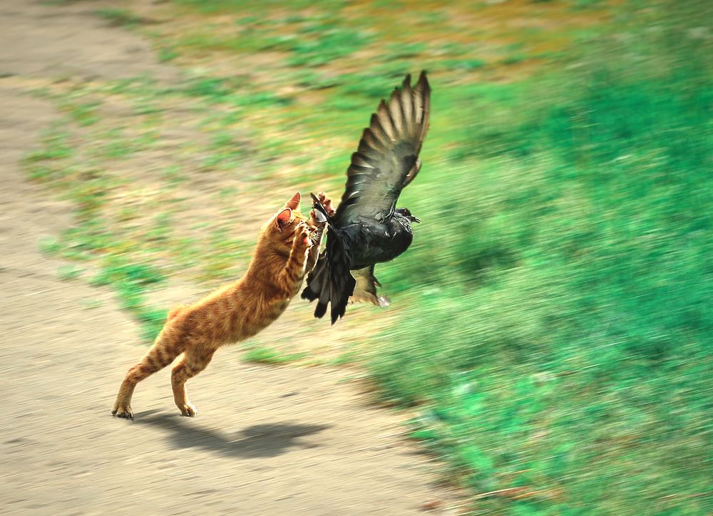 Photograph by Natalia Bolotenkova