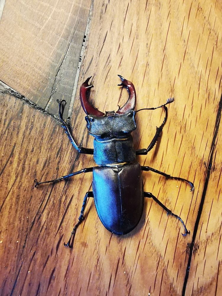 Фотография автора Uljana Kuchar