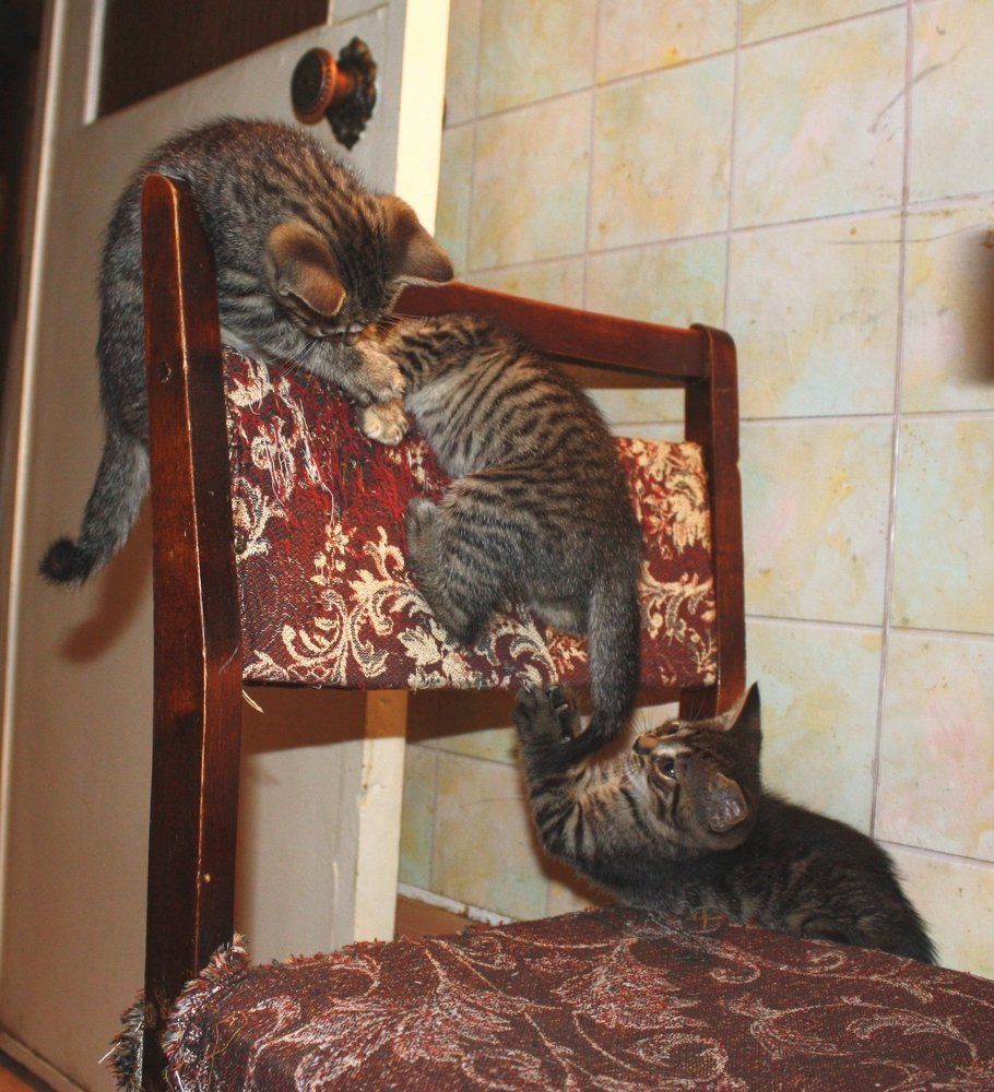 Photograph by Виктор Полуэктов