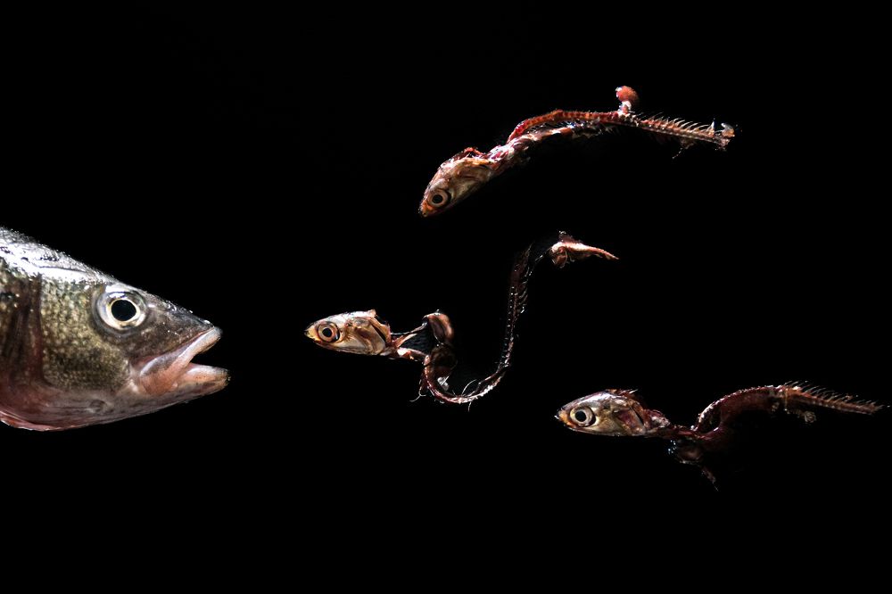 Photograph by Giuseppe Barresi