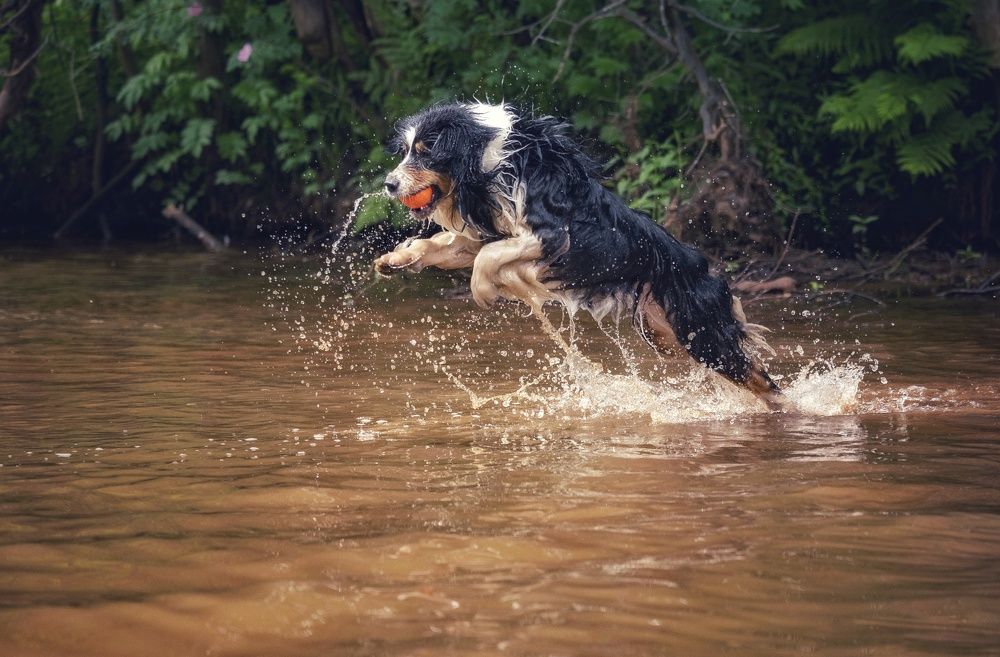 Photograph by Татьяна