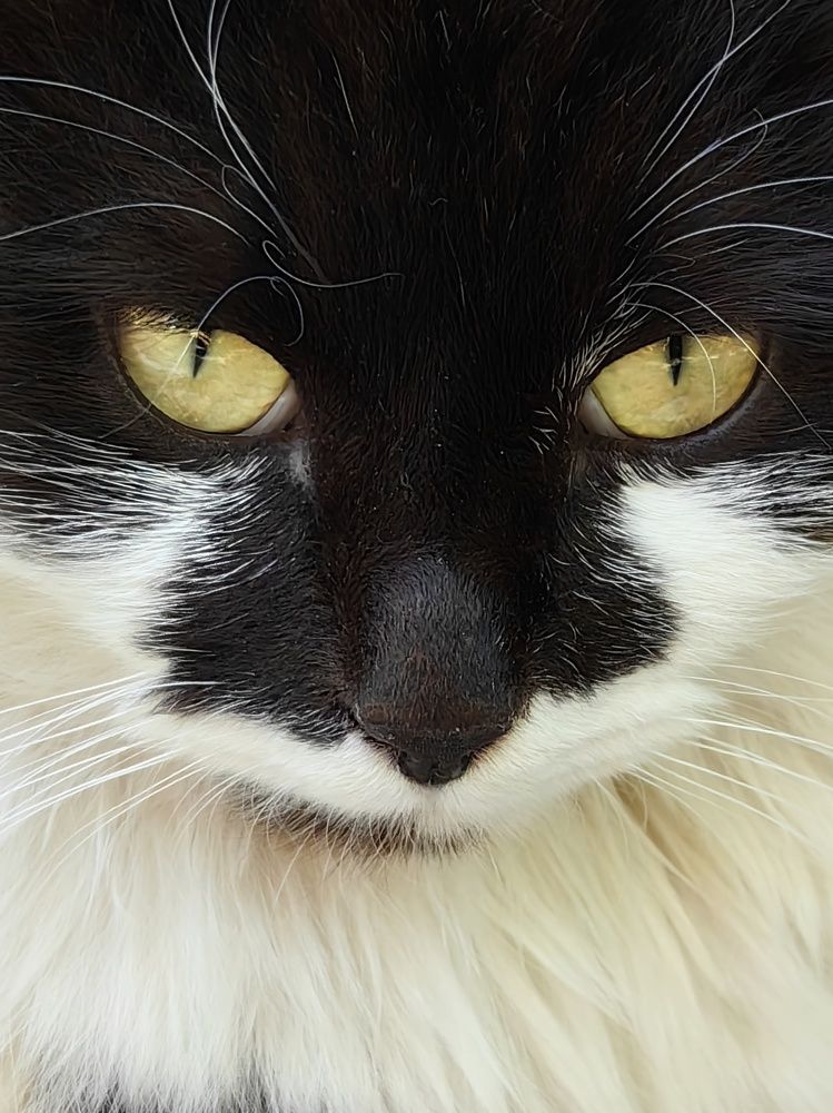 Photograph by Maiya Bulatova