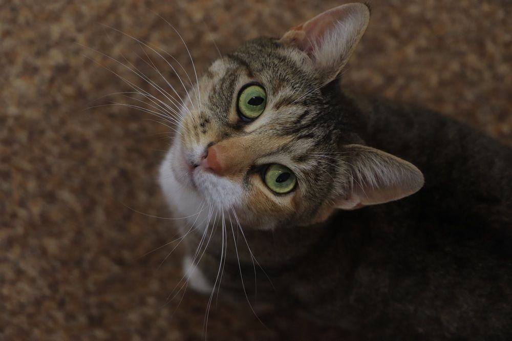 Photograph by Анна Бабкина