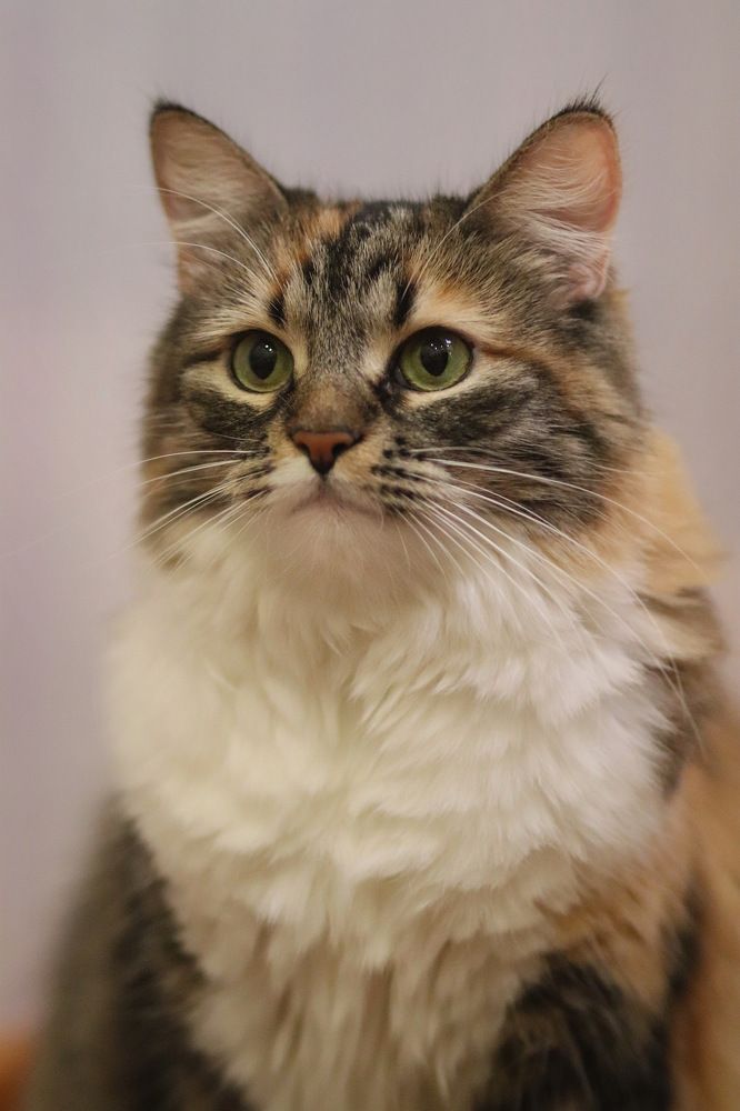 Photograph by Анна Бабкина