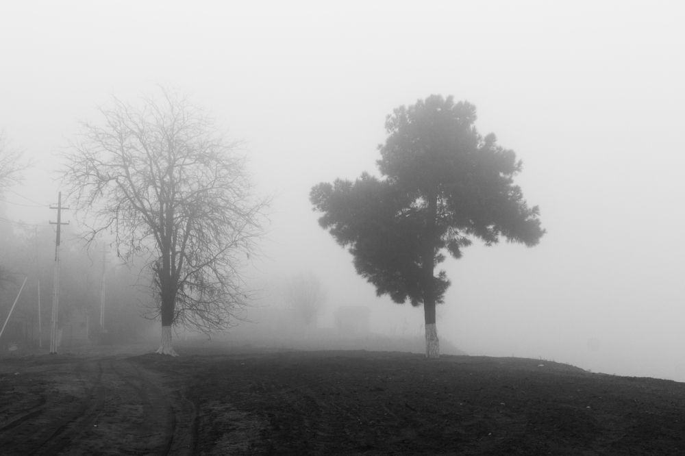 Фотография автора Emil Shahinoglu