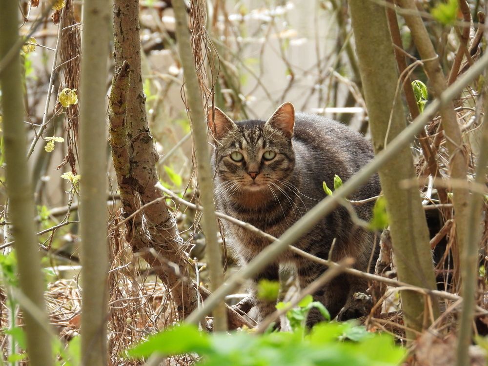 Photograph by Владимир Джерихов