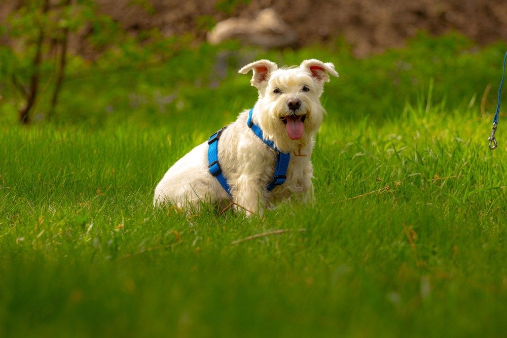 Photograph by Екатерина Козловская