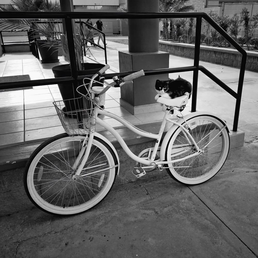 Photograph by Ivan Avitia