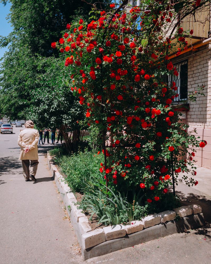 Photograph by Сергей Удовиченко