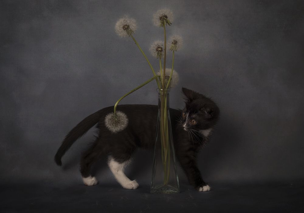 Photograph by Александр Чазов