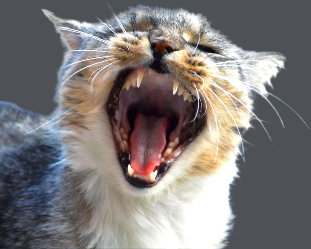 Photograph by Наталья Назаренко