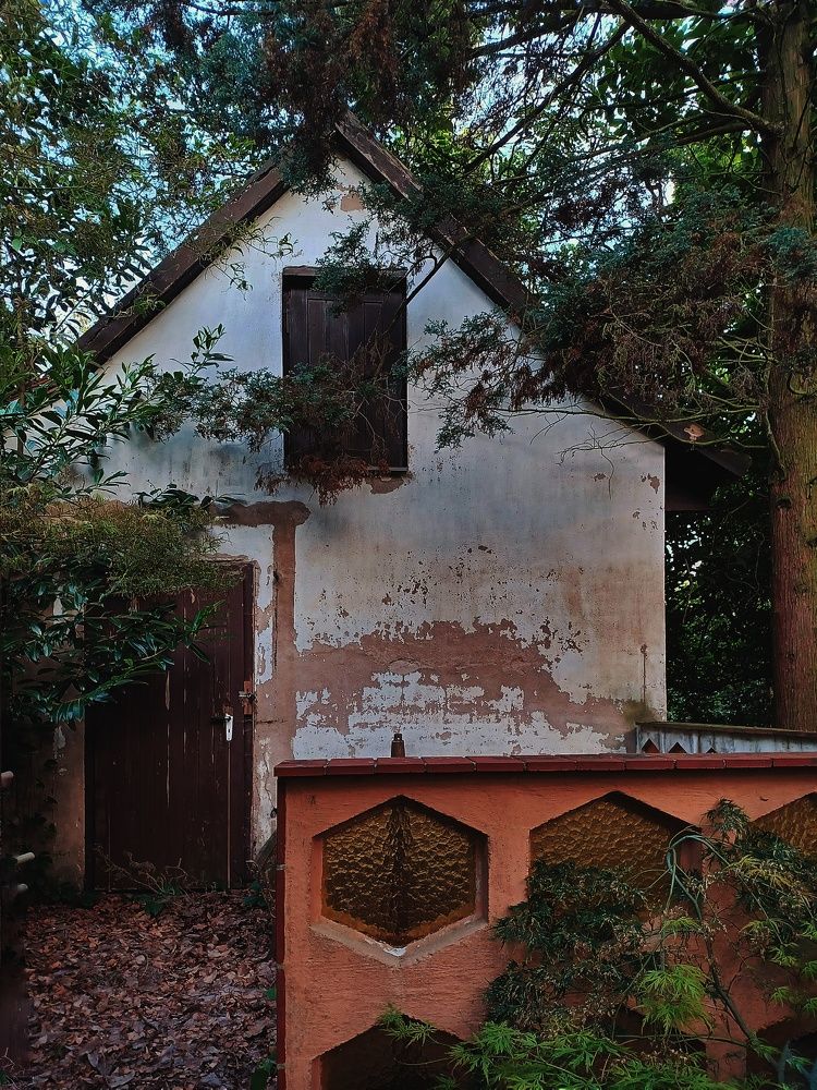 Photograph by Root Dariia