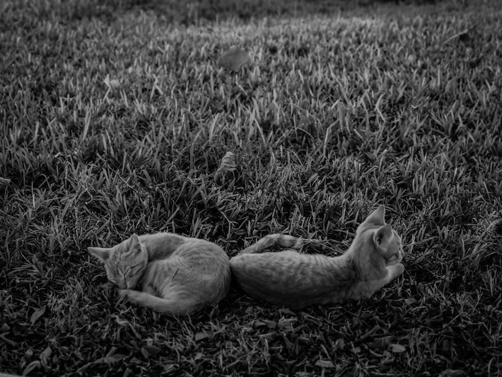 Photograph by Ivan Avitia