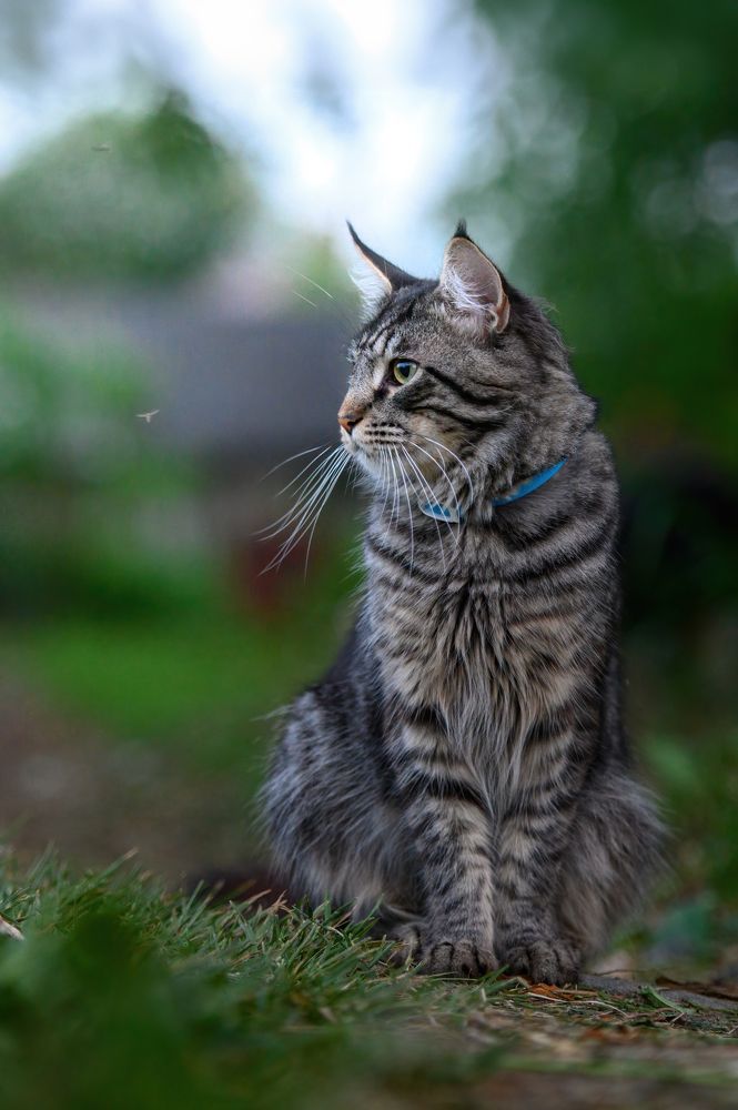 Photograph by Алексей Соколов