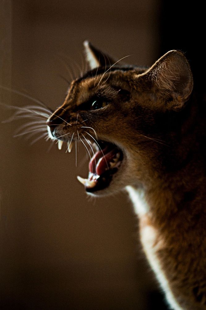 Photograph by Татьяна Литвинова