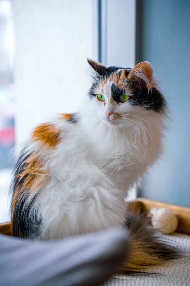 Photograph by Алексей Еремеев