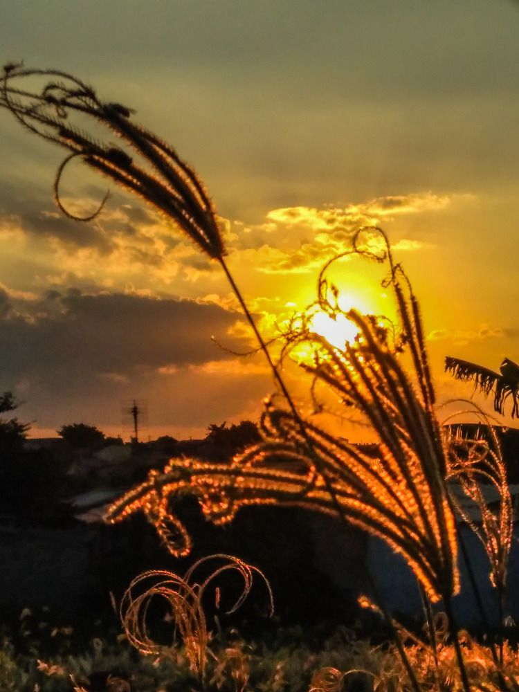 Photograph by Mônica Rodrigues