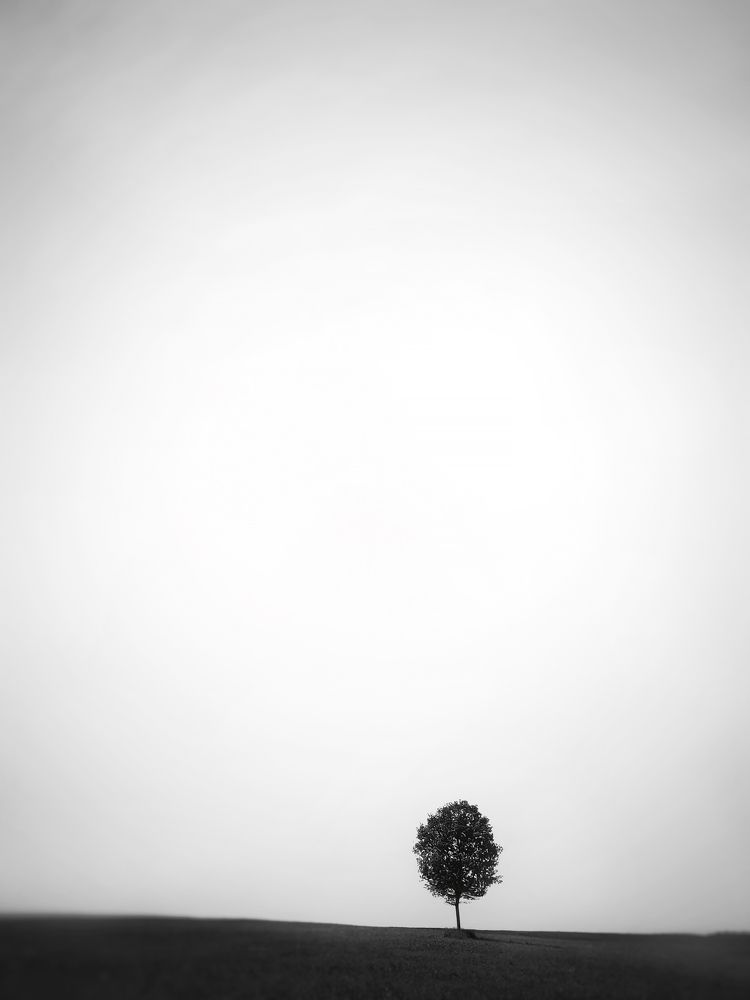 Photograph by Евгений Белов