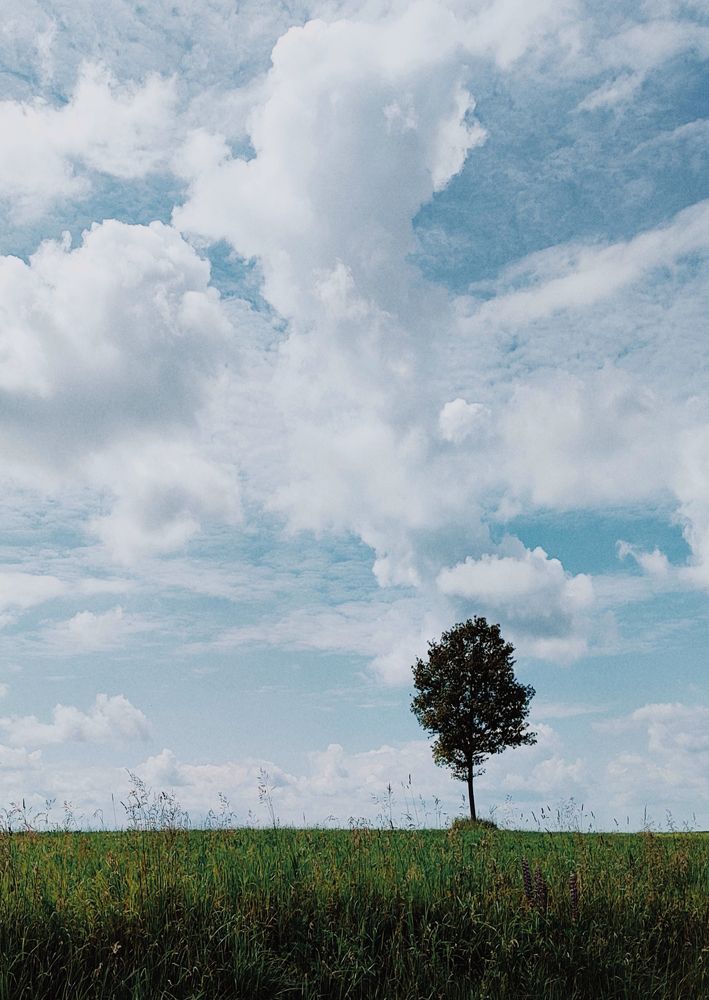 Photograph by Евгений Белов