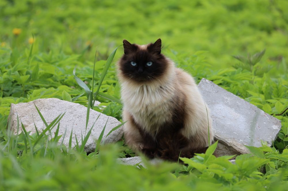 Photograph by Алексей Горин