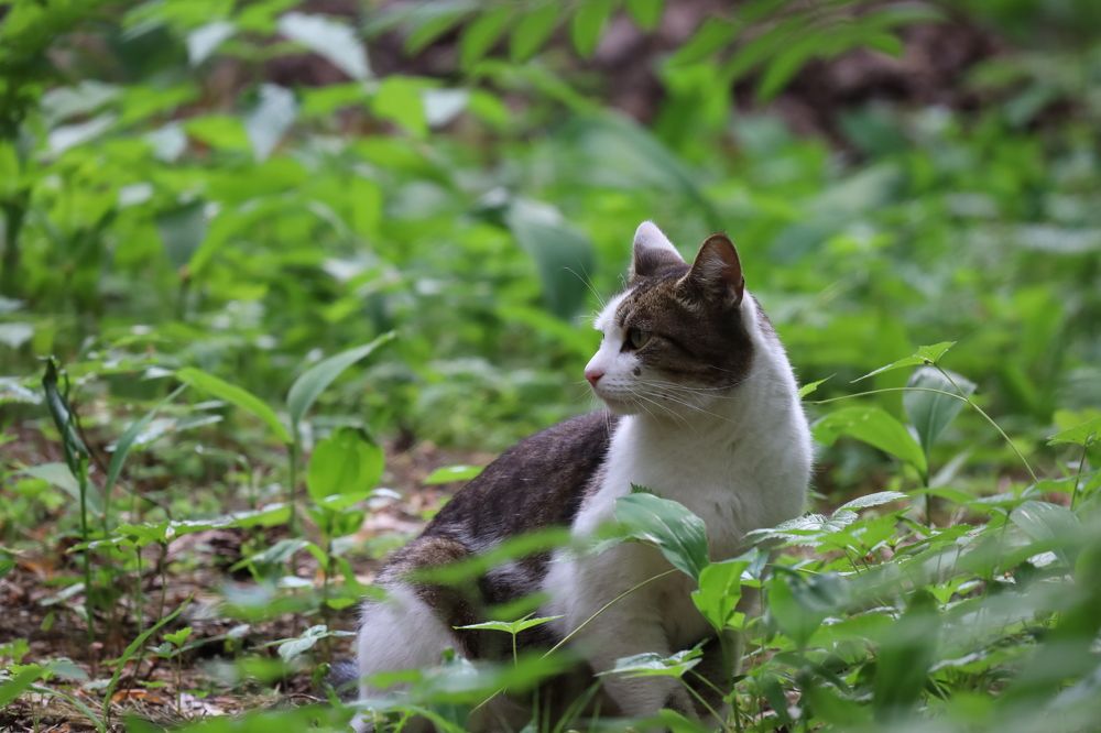 Photograph by Алексей Горин