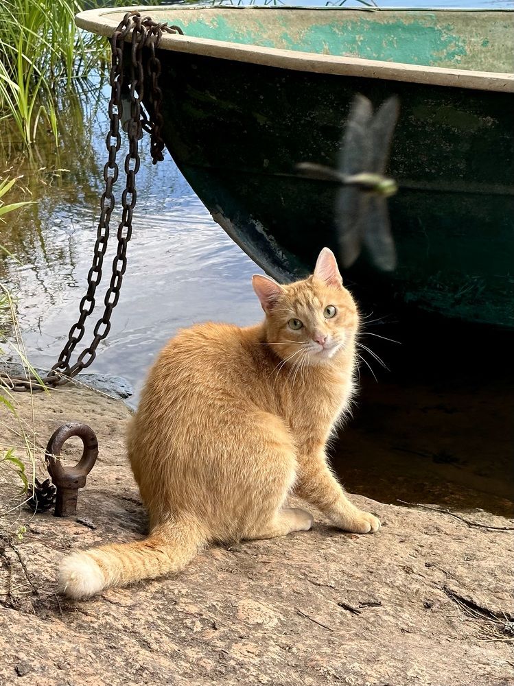 Photograph by Рина Серёгина