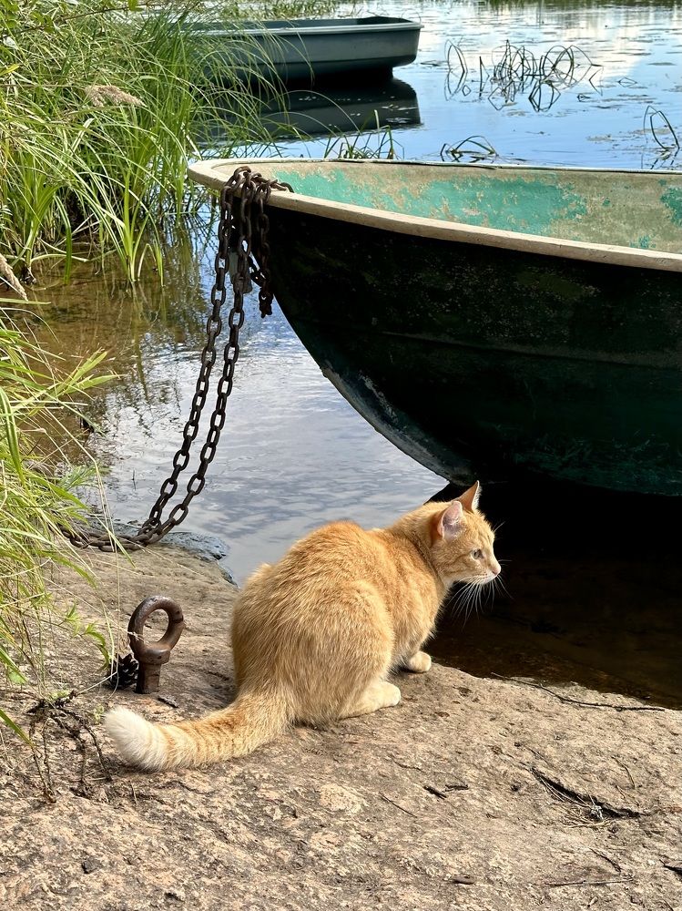 Photograph by Рина Серёгина