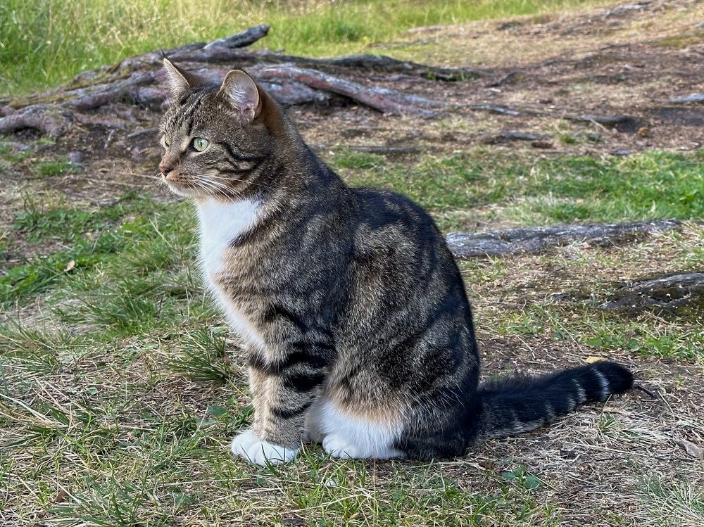 Photograph by Рина Серёгина