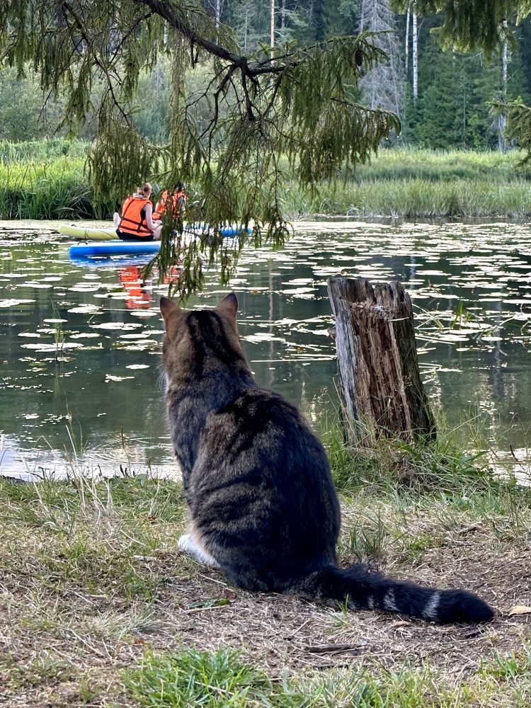 Photograph by Рина Серёгина