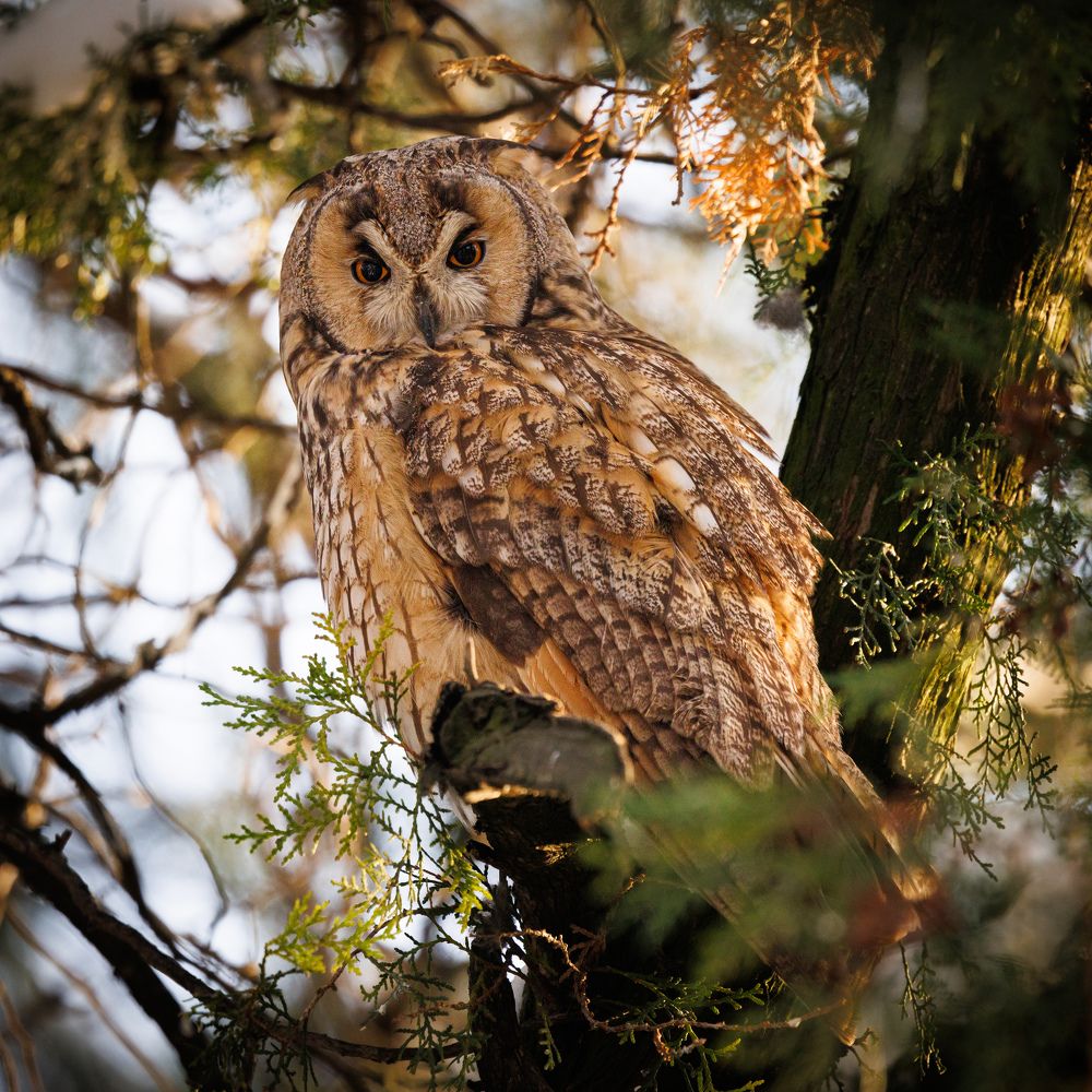 Photograph by Maxim Lip