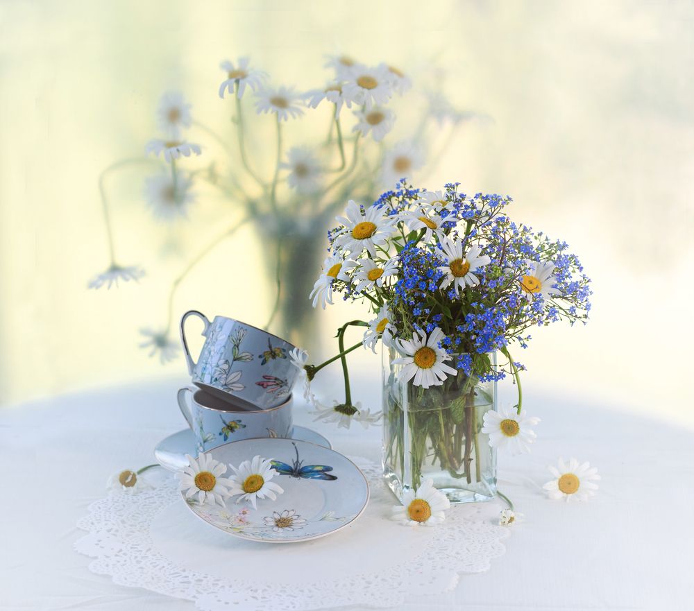 Photograph by NADEZHDA PELYMSKAIA