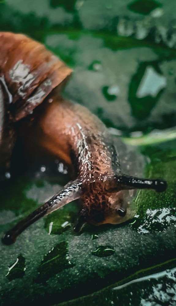 Photograph by Оксана Сафина