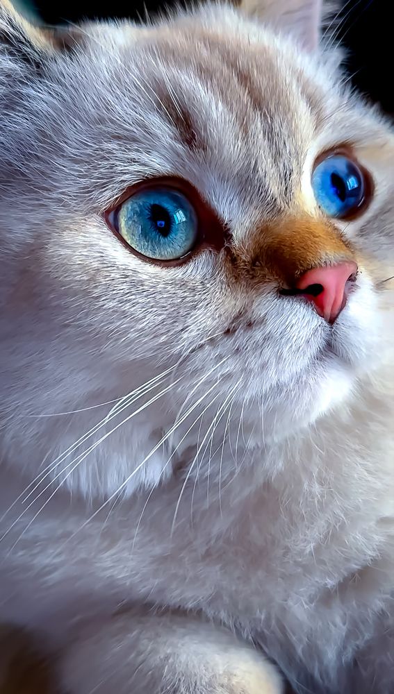 Photograph by Оксана Сафина