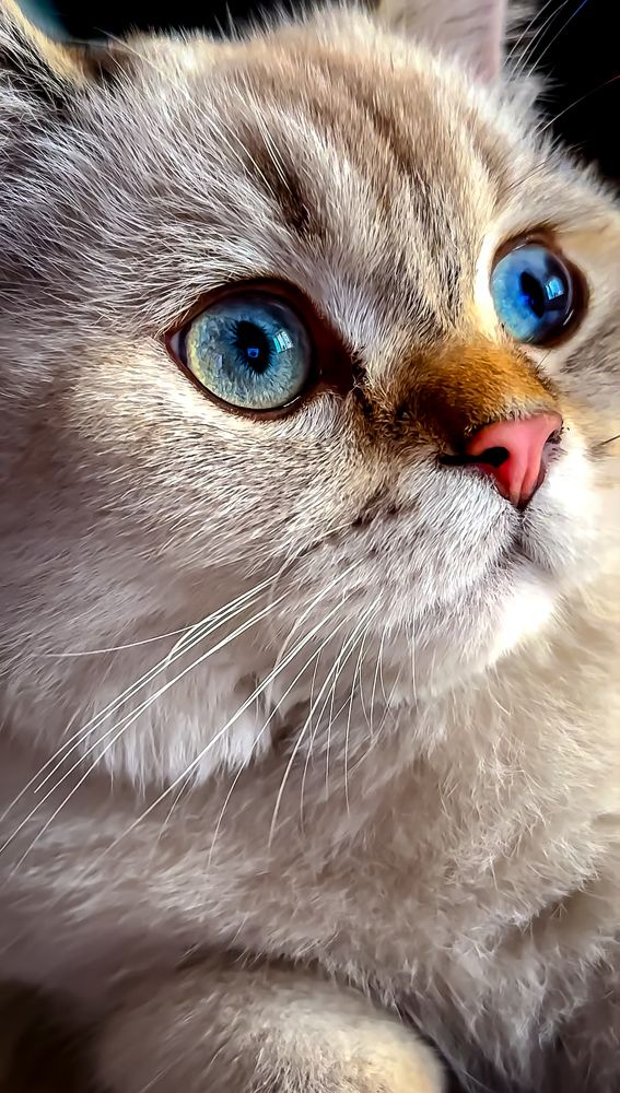 Photograph by Оксана Сафина