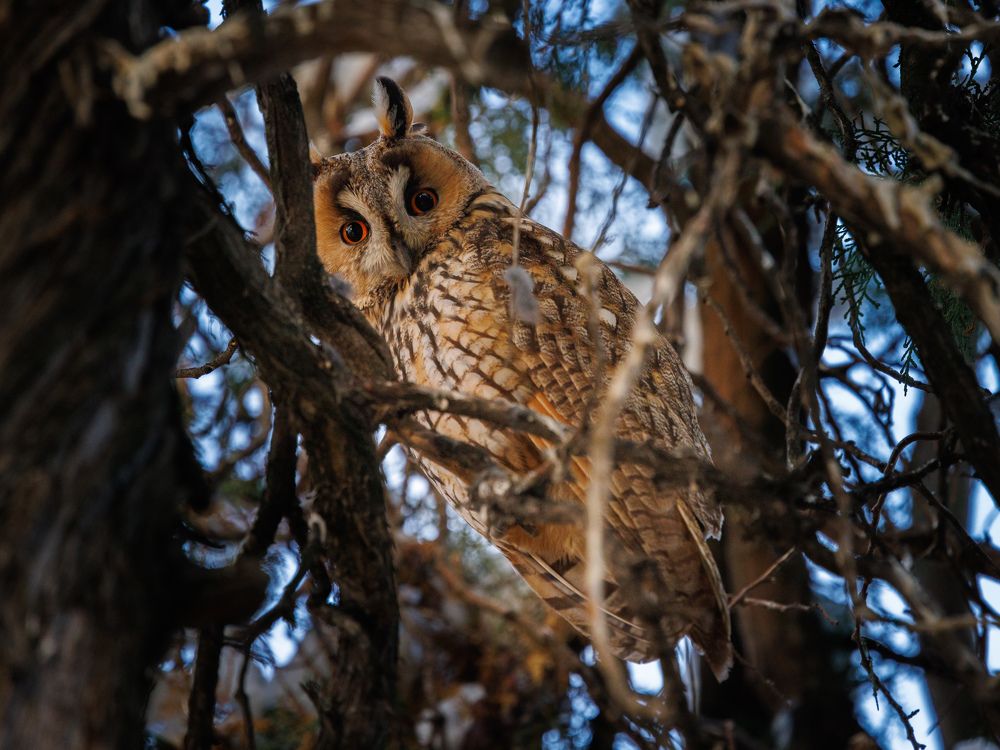 Photograph by Maxim Lip