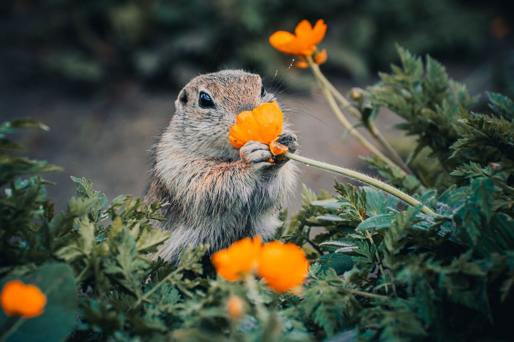 Photograph by Ольга Волкова