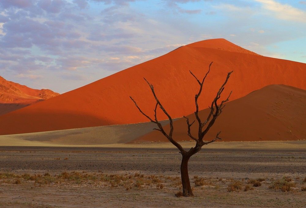 Photograph by Диана Жагрина