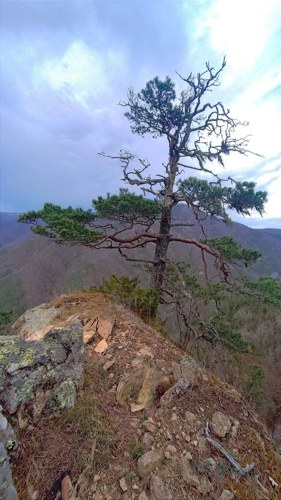 Photograph by Виталий Мартынов