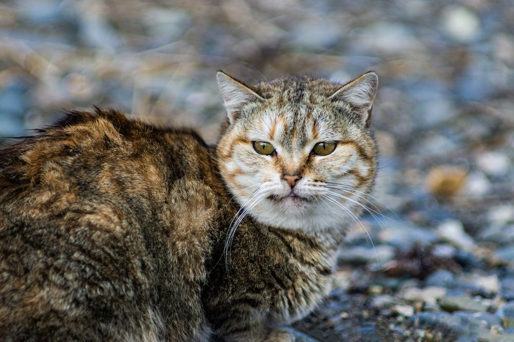 Photograph by Дмитрий Влизько