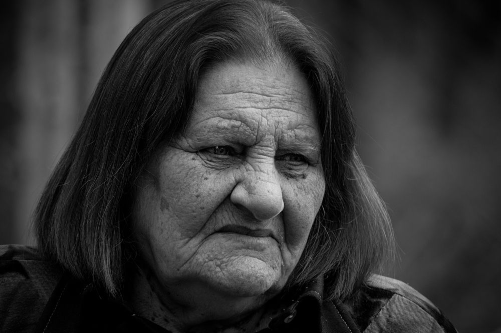 Фотография автора Василев Теодор