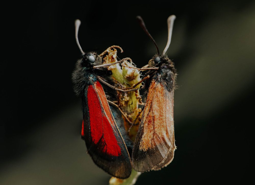 Фотография автора Любовь Маслова