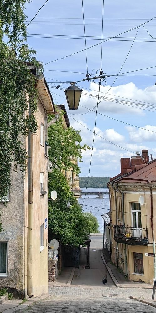 Photograph by Светлана Зыкова