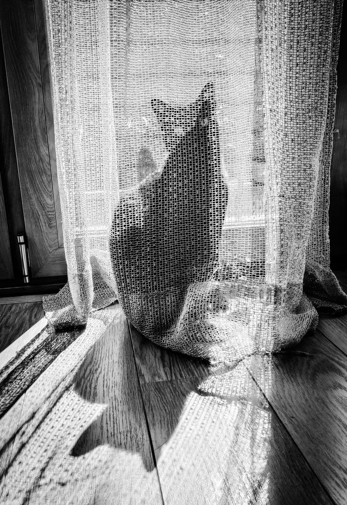 Photograph by Mário C.