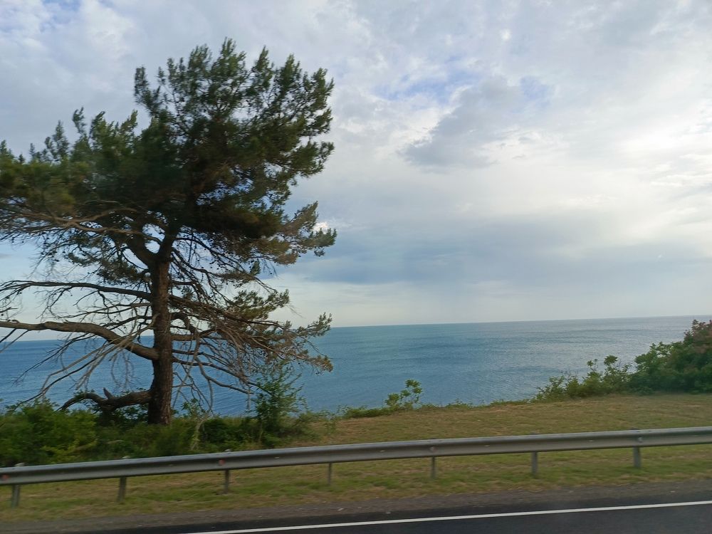 Photograph by Татьяна Пальчикова