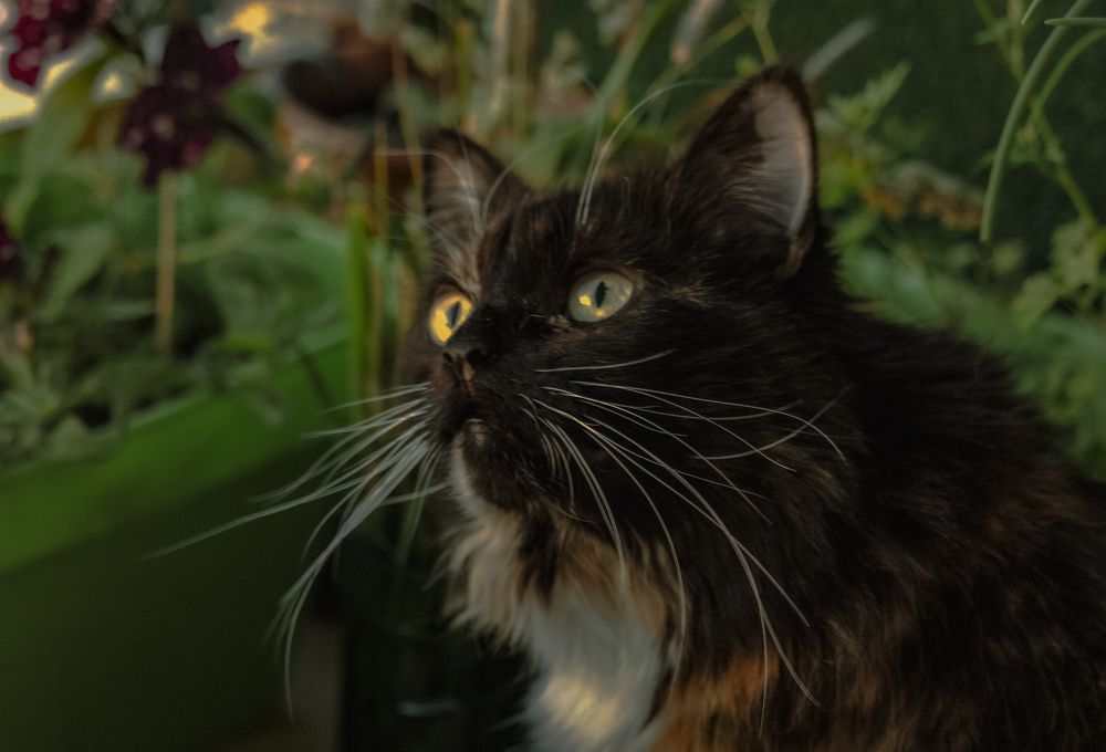 Photograph by Alexandra Chalova