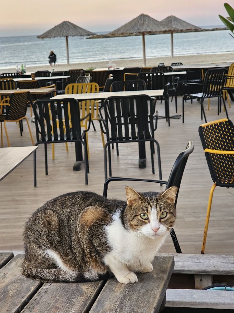 Фотография автора Oksana Podgorodetska