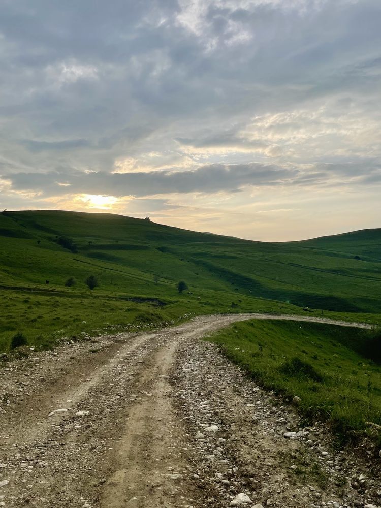 Photograph by Марина Белянских