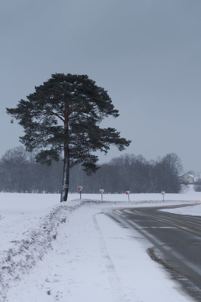 Photograph by Nikolay Serfoord