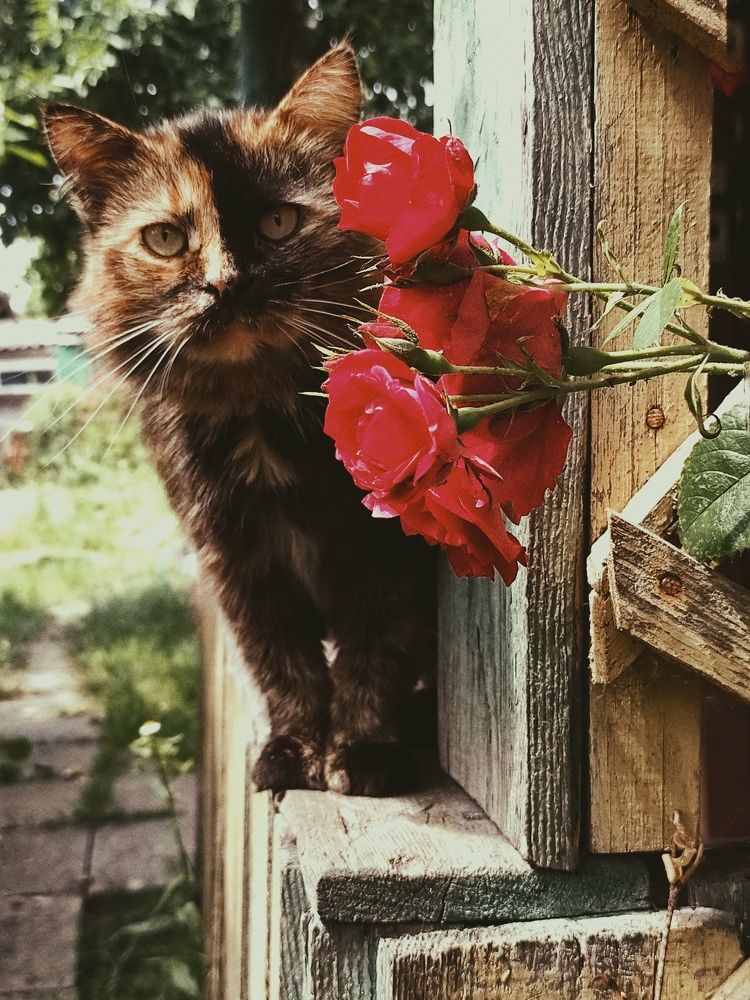 Photograph by Юлия Зинякова