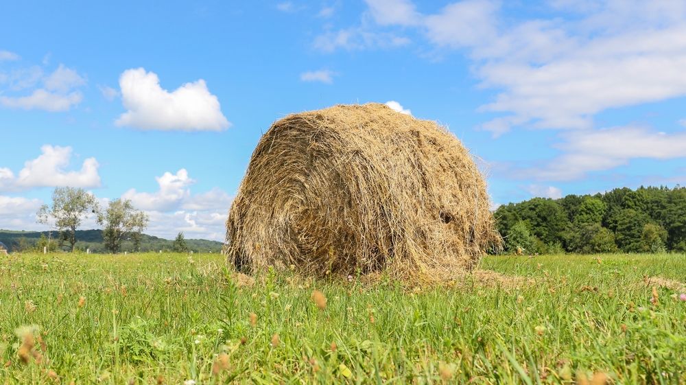 Photograph by Олег Дубина